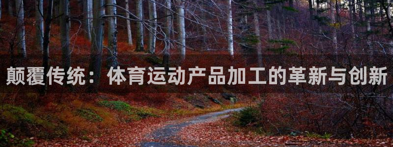酷玩体育直播nba赛程：颠覆传统：体育运动产品加工的革新与创新