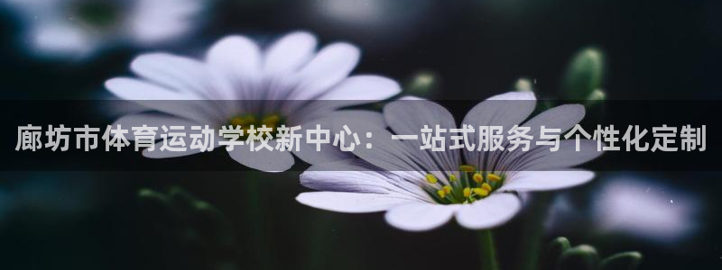 酷玩体育直播nba赛程：廊坊市体育运动学校新中心：一站式服务与个性化定制