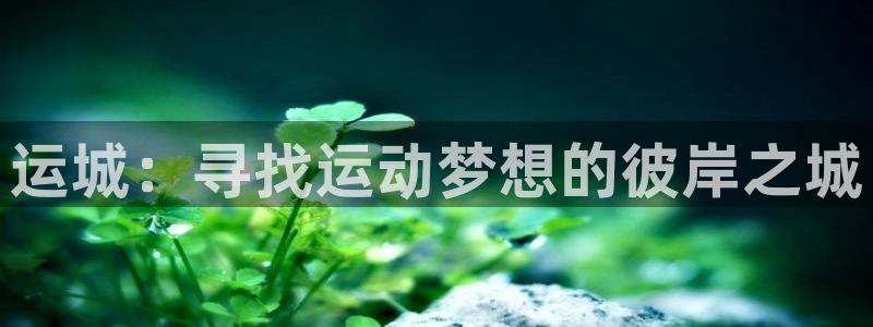 酷玩体育真的假的：运城：寻找运动梦想的彼岸之城