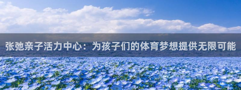 酷玩体育的东西是正品吗：张弛亲子活力中心：为孩子们的体育梦想提供无限可能
