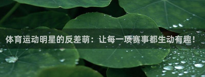 酷玩体育真的假的：体育运动明星的反差萌：让每一项赛事都生动有趣！