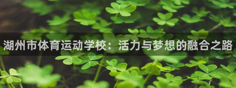 酷玩体育低调看NBA：湖州市体育运动学校：活力与梦想的融合之路