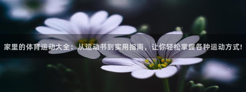 酷玩体育低调看NBA：家里的体育运动大全：从运动书到实用指南，让你轻松掌握各种运动方式!
