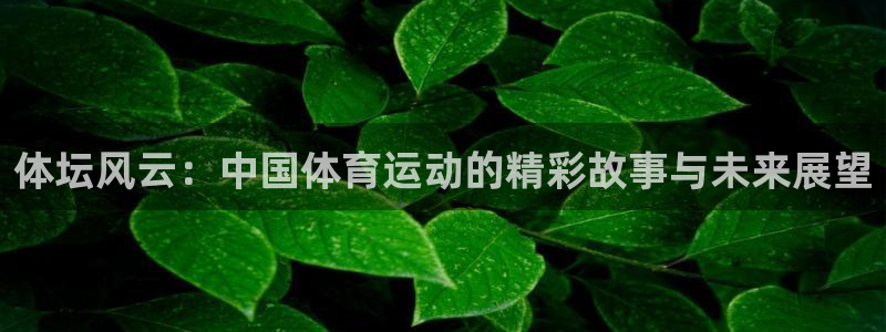 酷玩体育低调看NBA：体坛风云：中国体育运动的精彩故事与未来展望